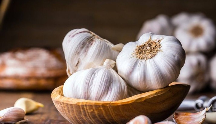 Mekanisme kerja bawang putih